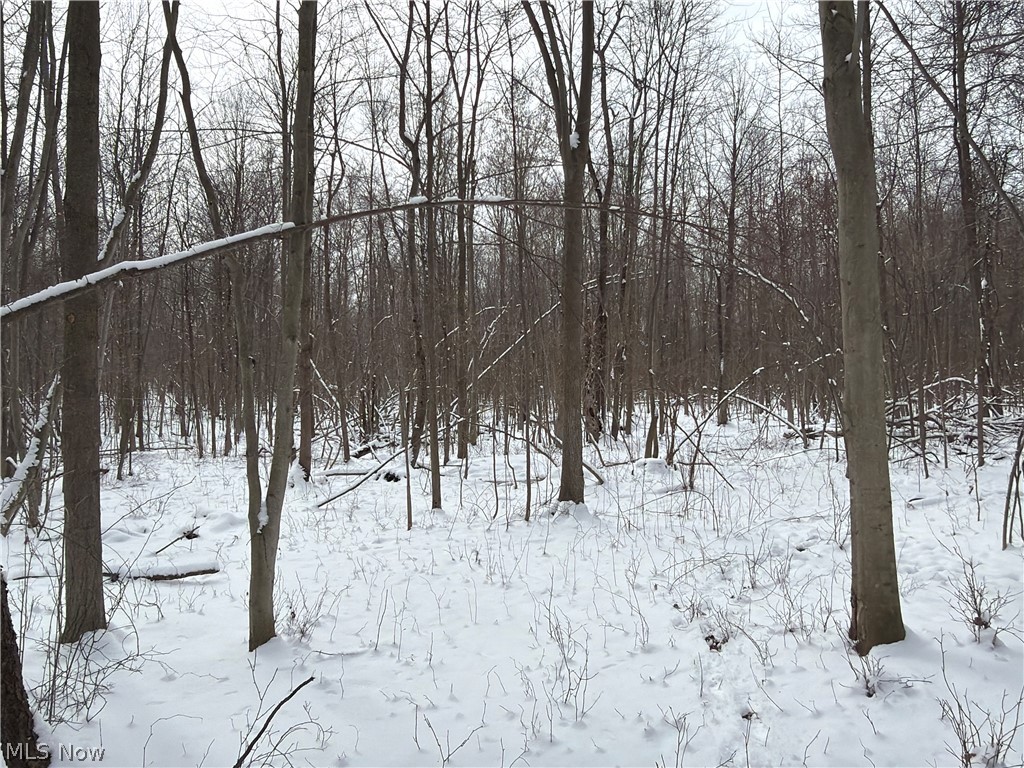 Munson Hill Road Ashtabula OH 44004