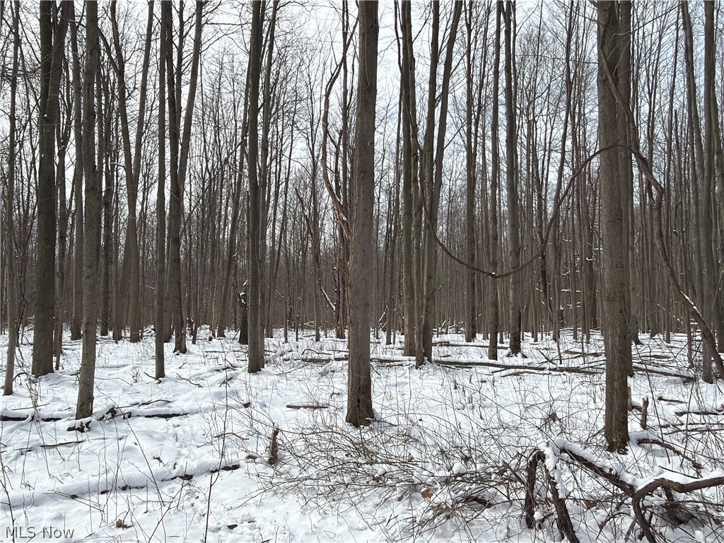 Munson Hill Road Ashtabula OH 44004