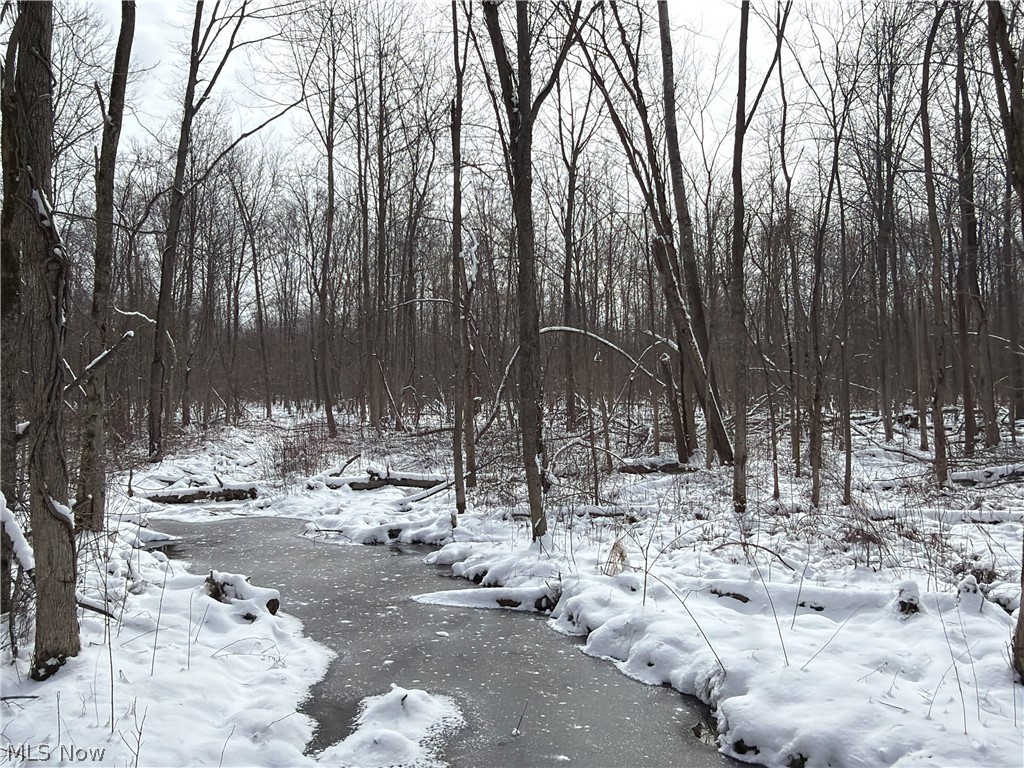 Munson Hill Road Ashtabula OH 44004