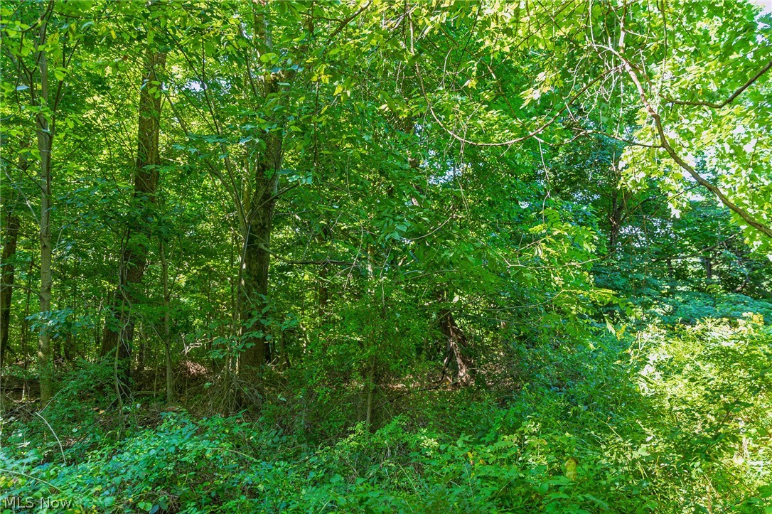 7559 Doylestown Road Sterling OH 44276
