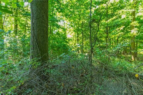 7559 Doylestown Road Sterling OH 44276