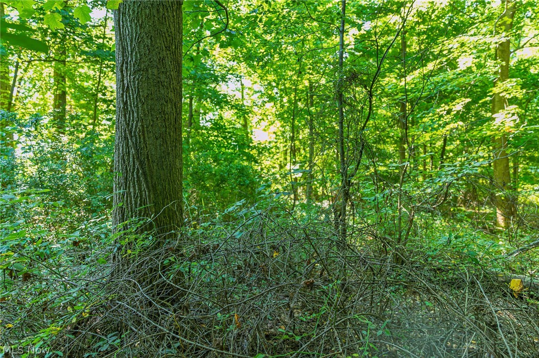 7559 Doylestown Road Sterling OH 44276