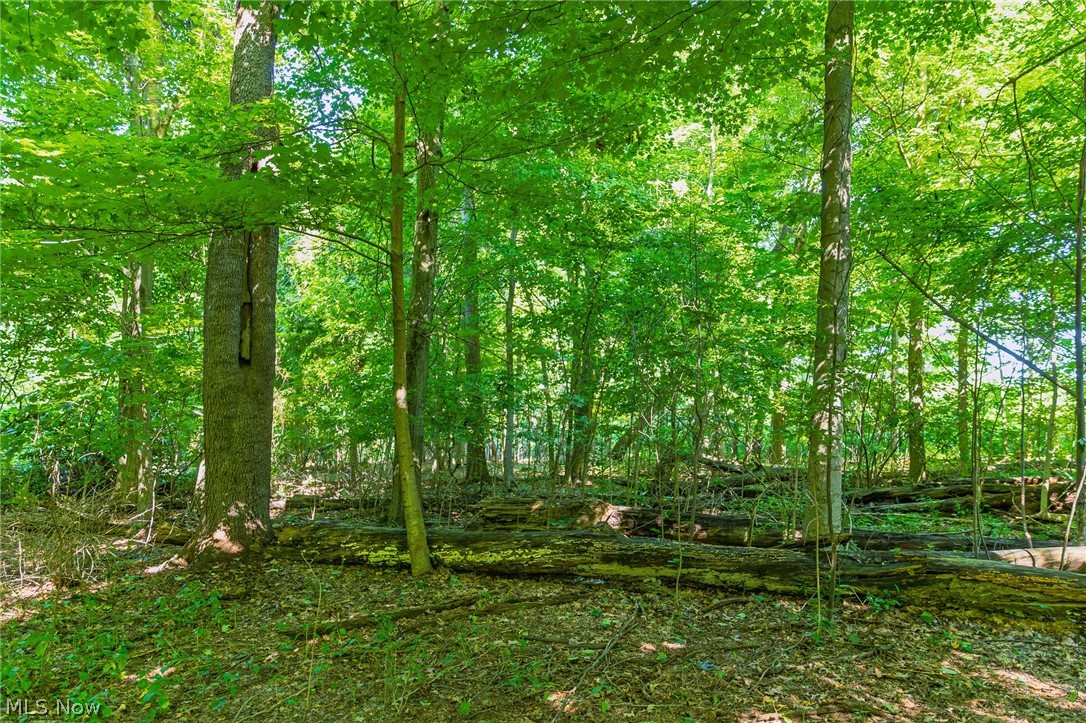 7559 Doylestown Road Sterling OH 44276