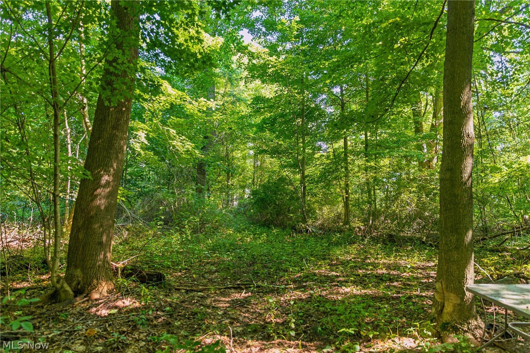 7559 Doylestown Road Sterling OH 44276