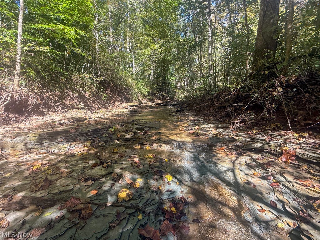 Buttermilk Hill Rd NW Mcconnelsville OH 43756