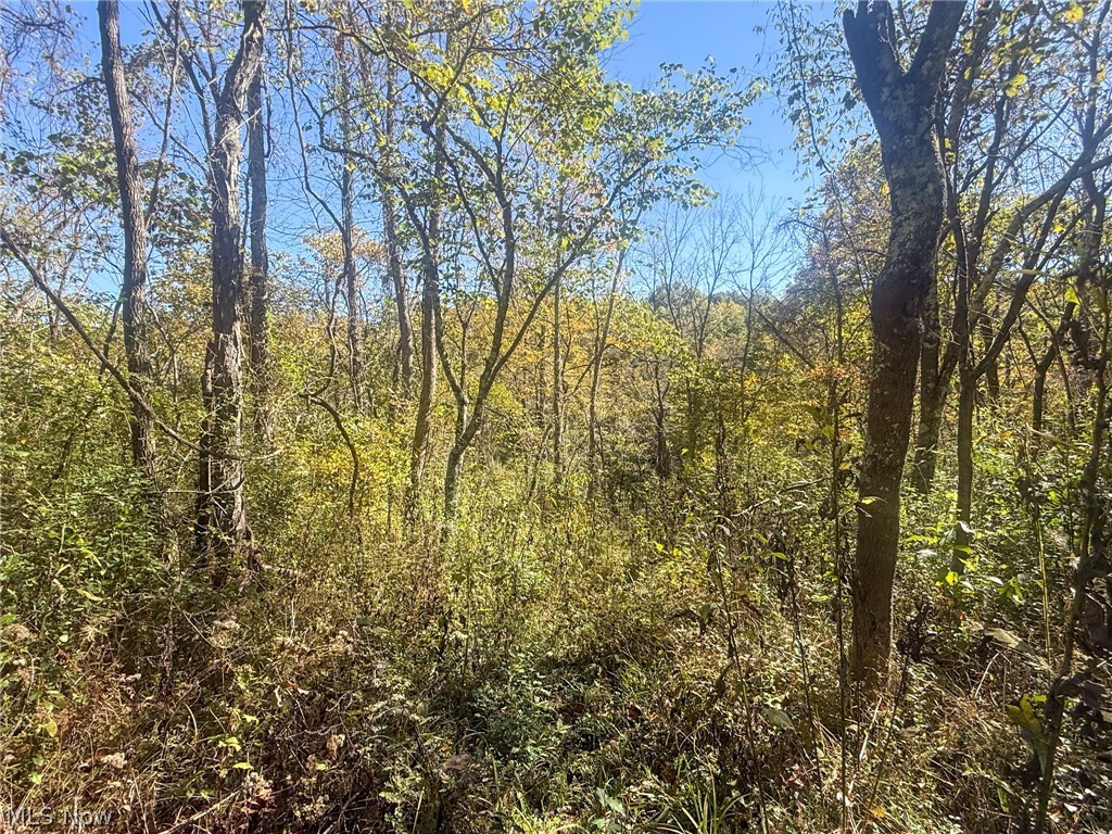 Buttermilk Hill Rd NW Mcconnelsville OH 43756