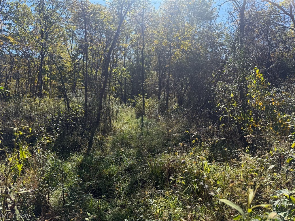 Buttermilk Hill Rd NW Mcconnelsville OH 43756