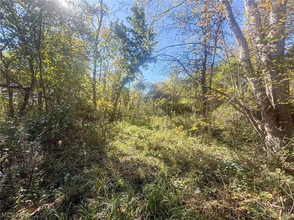 Buttermilk Hill Rd NW Mcconnelsville OH 43756