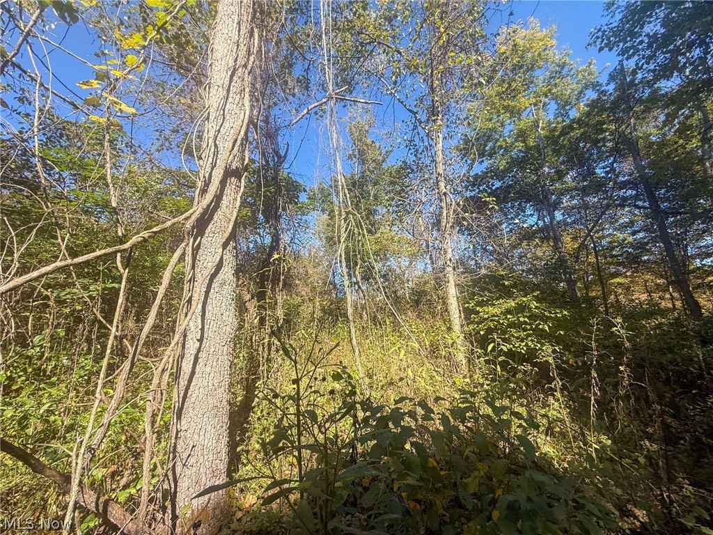Buttermilk Hill Rd NW Mcconnelsville OH 43756