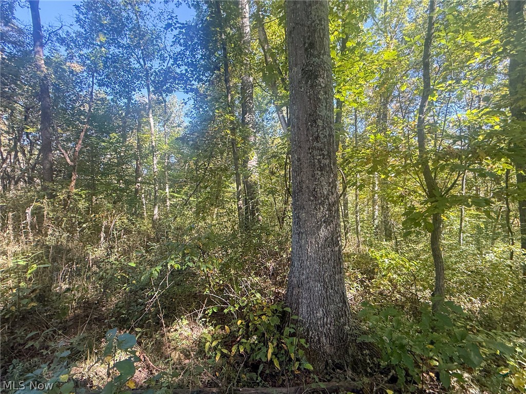 Buttermilk Hill Rd NW Mcconnelsville OH 43756