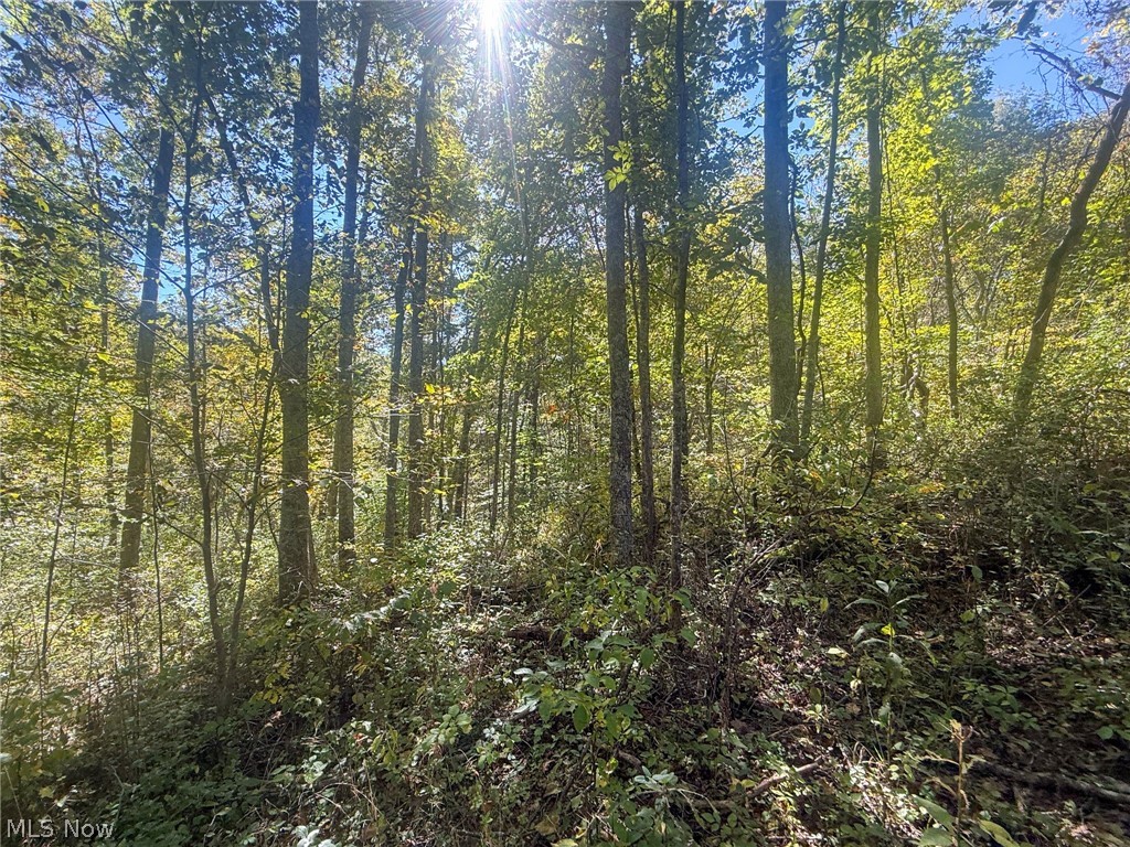 Buttermilk Hill Rd NW Mcconnelsville OH 43756