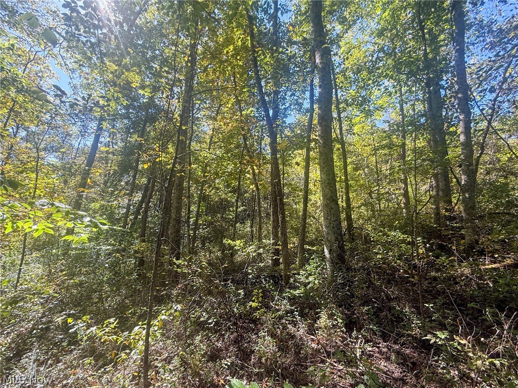 Buttermilk Hill Rd NW Mcconnelsville OH 43756