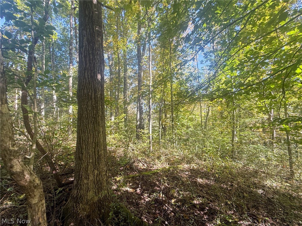 Buttermilk Hill Rd NW Mcconnelsville OH 43756