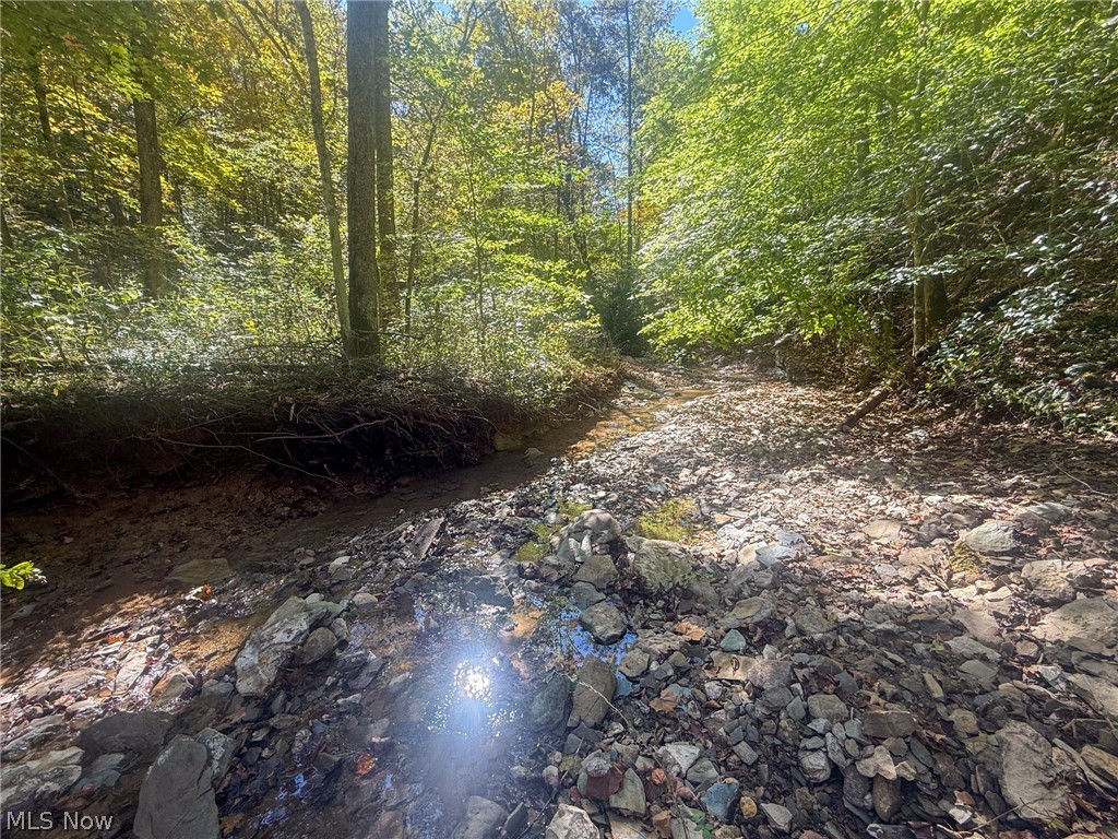 Buttermilk Hill Rd NW Mcconnelsville OH 43756