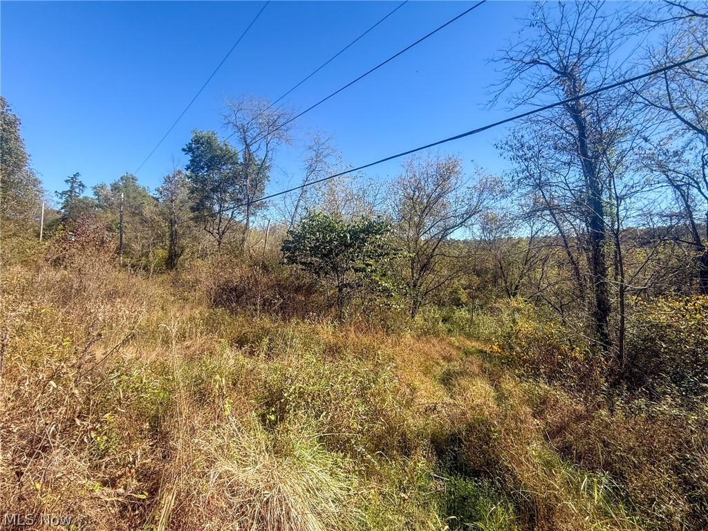 Buttermilk Hill Rd NW Mcconnelsville OH 43756
