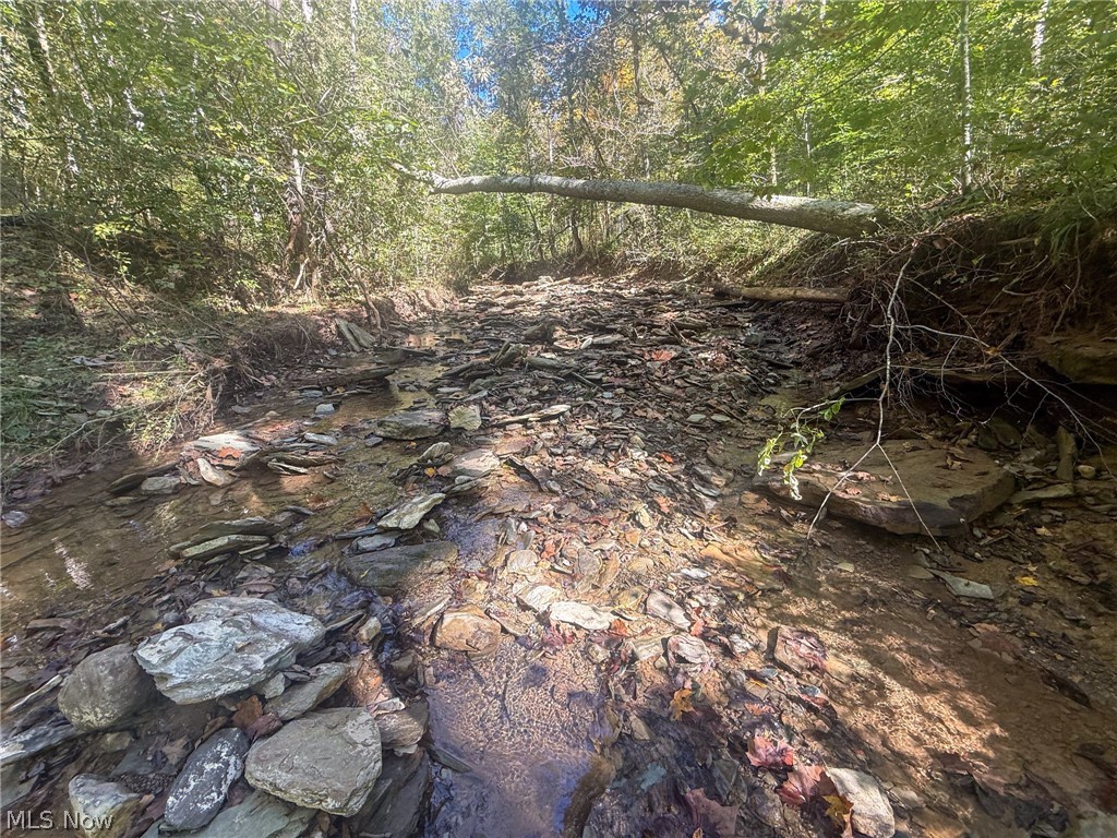 Buttermilk Hill Rd NW Mcconnelsville OH 43756
