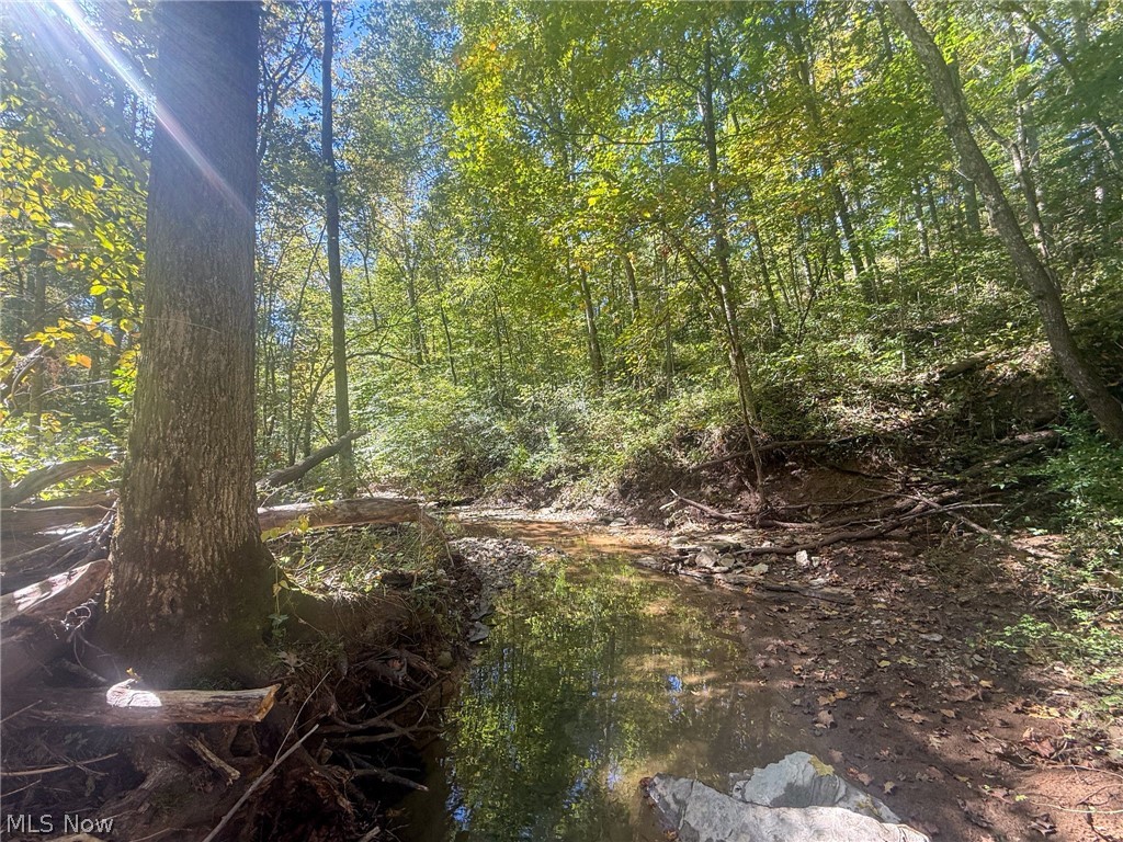 Buttermilk Hill Rd NW Mcconnelsville OH 43756