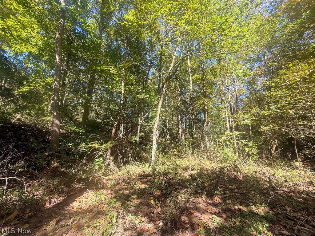 Buttermilk Hill Rd NW Mcconnelsville OH 43756