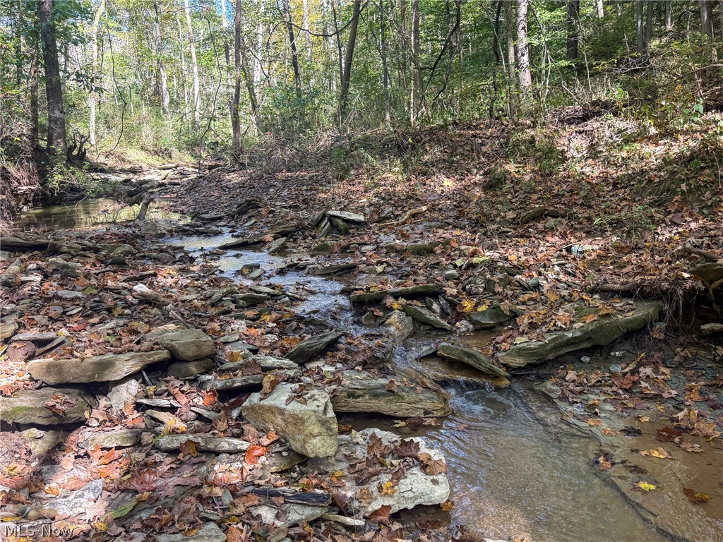 Buttermilk Hill Rd NW Mcconnelsville OH 43756