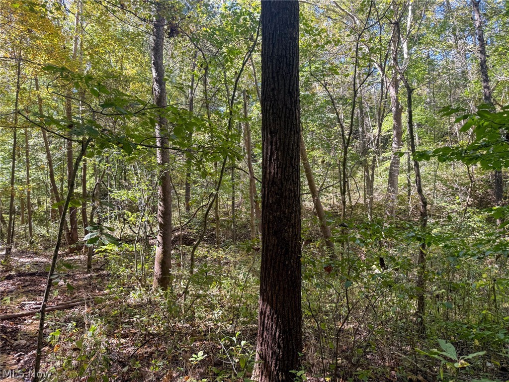 Buttermilk Hill Rd NW Mcconnelsville OH 43756