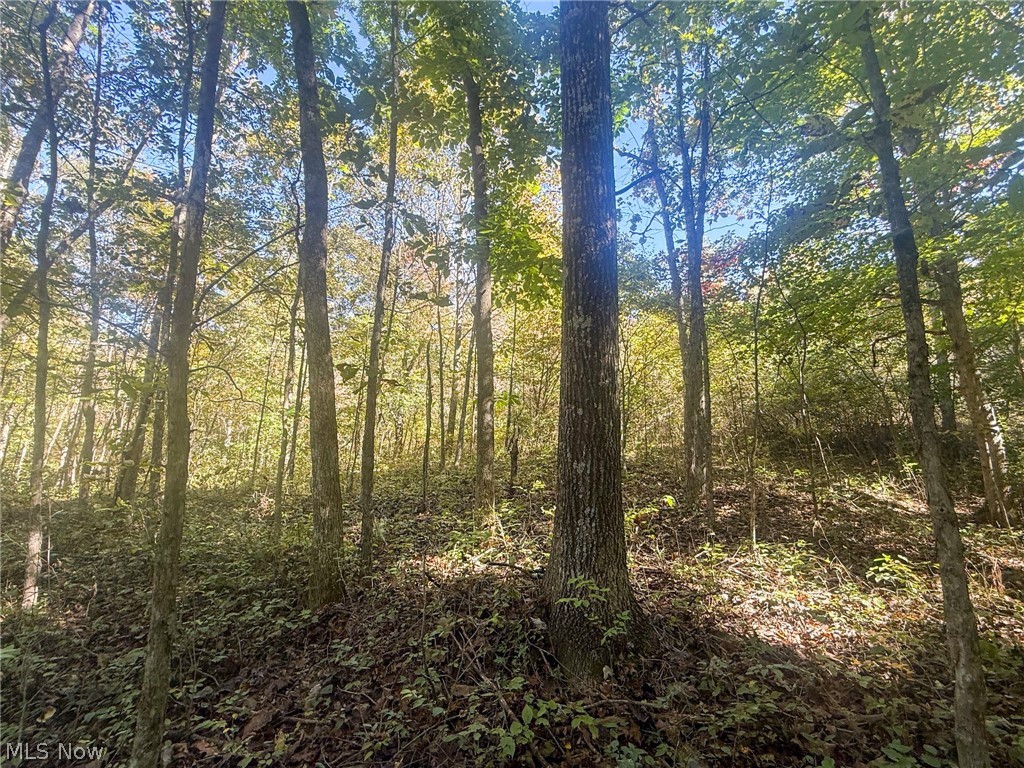 Buttermilk Hill Rd NW Mcconnelsville OH 43756