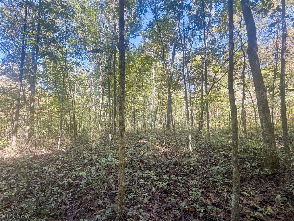 Buttermilk Hill Rd NW Mcconnelsville OH 43756