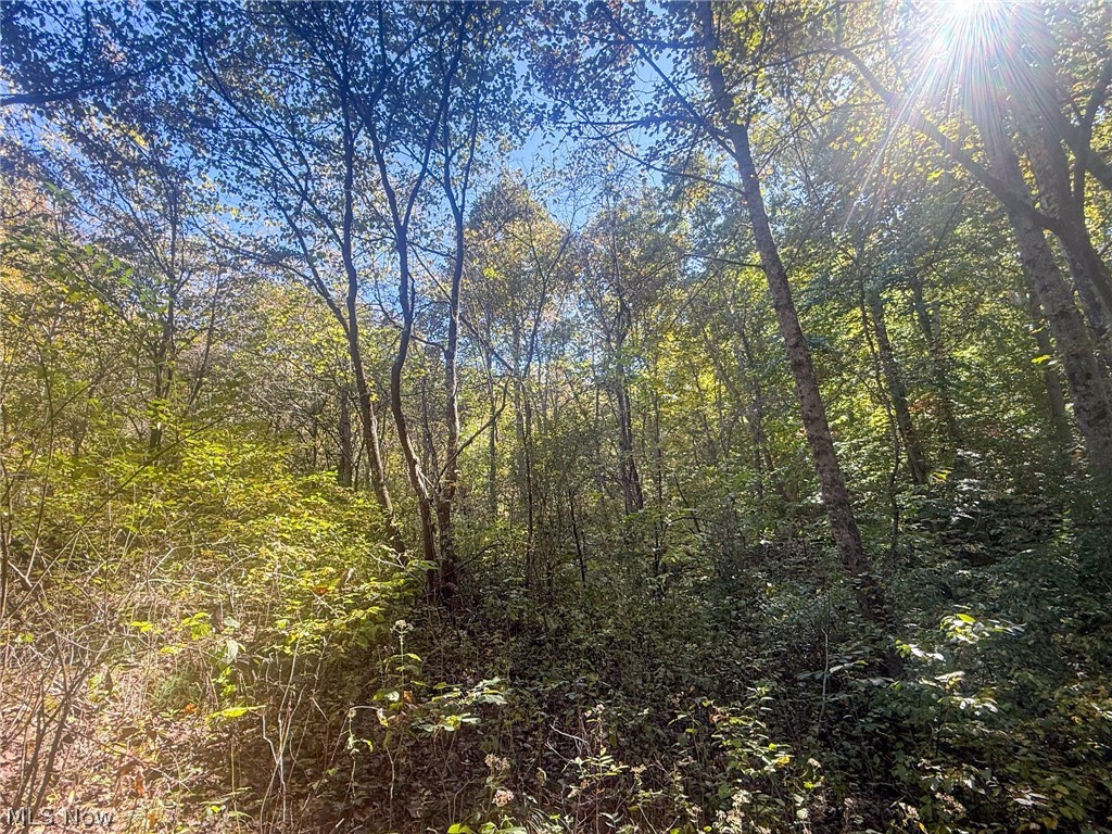 Buttermilk Hill Rd NW Mcconnelsville OH 43756