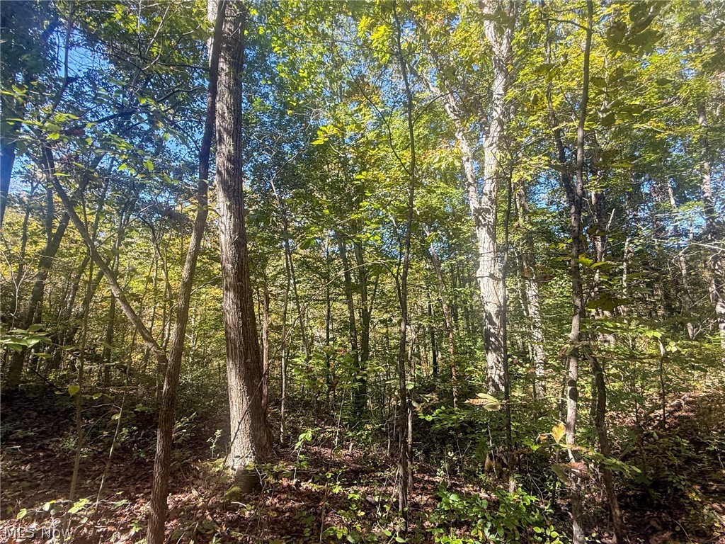 Buttermilk Hill Rd NW Mcconnelsville OH 43756