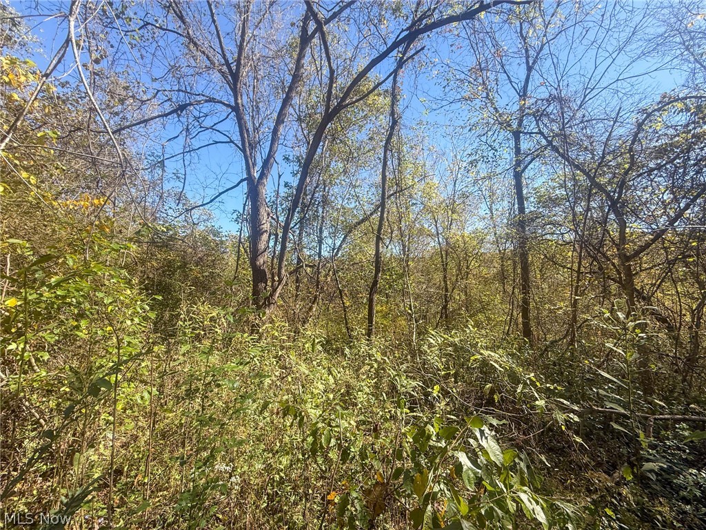 Buttermilk Hill Rd NW Mcconnelsville OH 43756