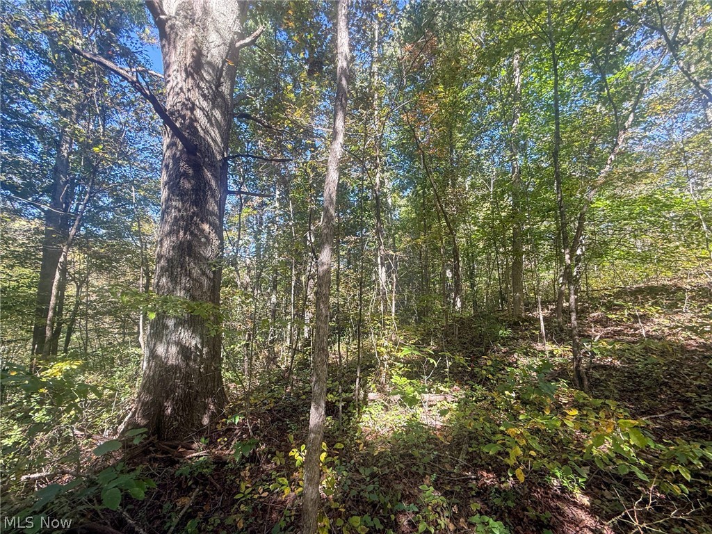 Buttermilk Hill Rd NW Mcconnelsville OH 43756