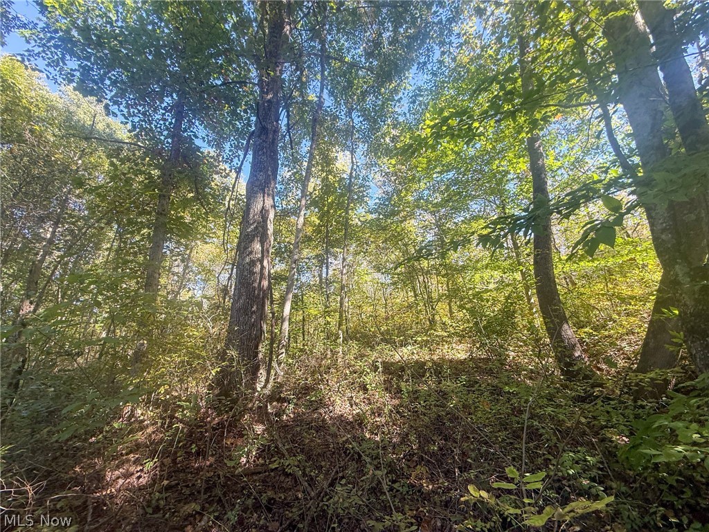 Buttermilk Hill Rd NW Mcconnelsville OH 43756