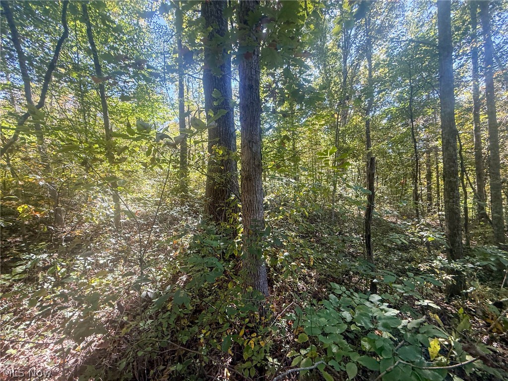 Buttermilk Hill Rd NW Mcconnelsville OH 43756