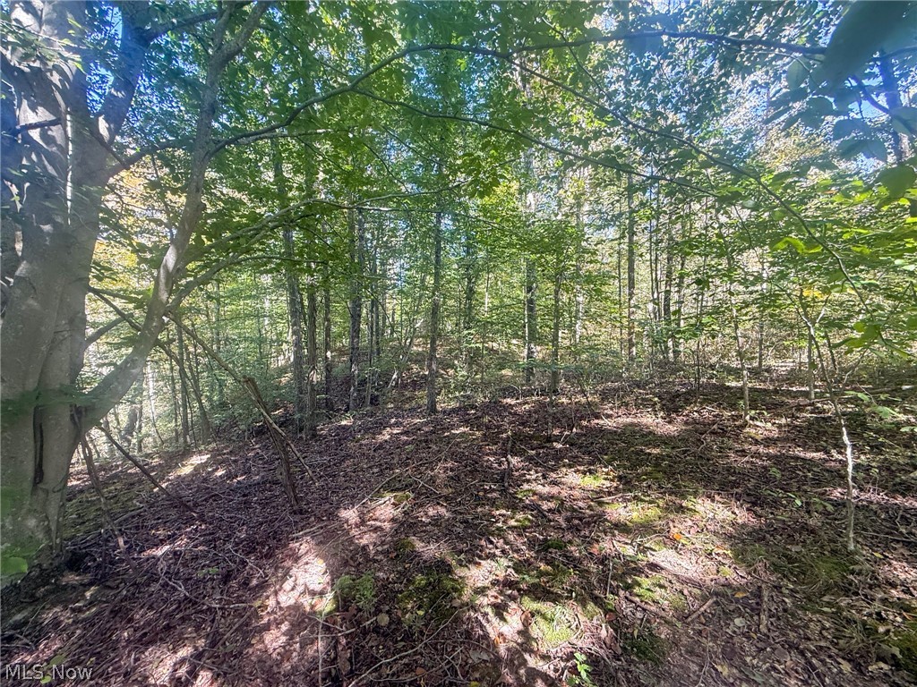 Buttermilk Hill Rd NW Mcconnelsville OH 43756