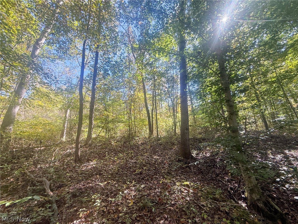 Buttermilk Hill Rd NW Mcconnelsville OH 43756