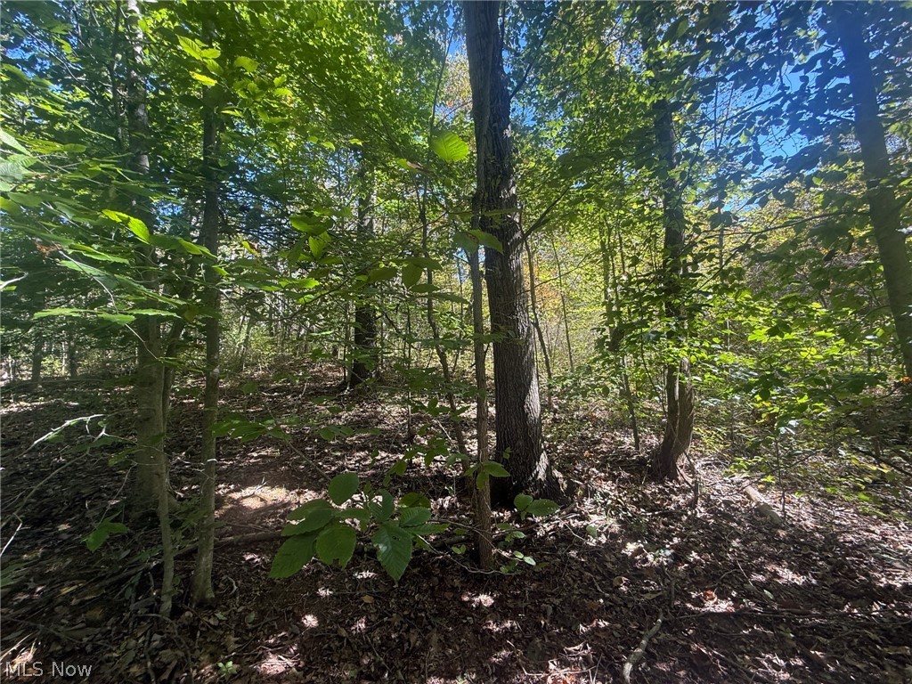Buttermilk Hill Rd NW Mcconnelsville OH 43756