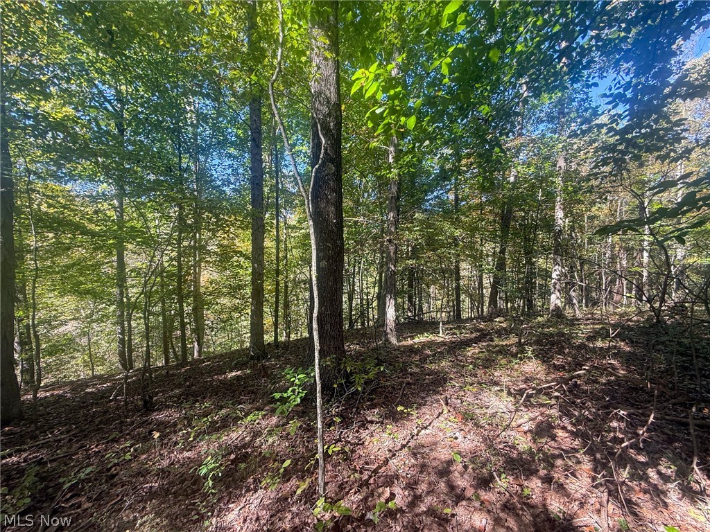 Buttermilk Hill Rd NW Mcconnelsville OH 43756