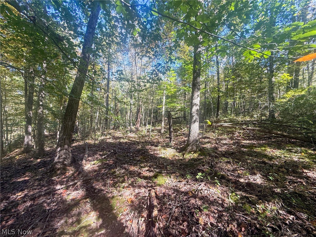 Buttermilk Hill Rd NW Mcconnelsville OH 43756