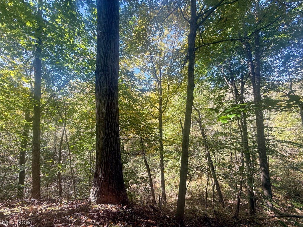 Buttermilk Hill Rd NW Mcconnelsville OH 43756