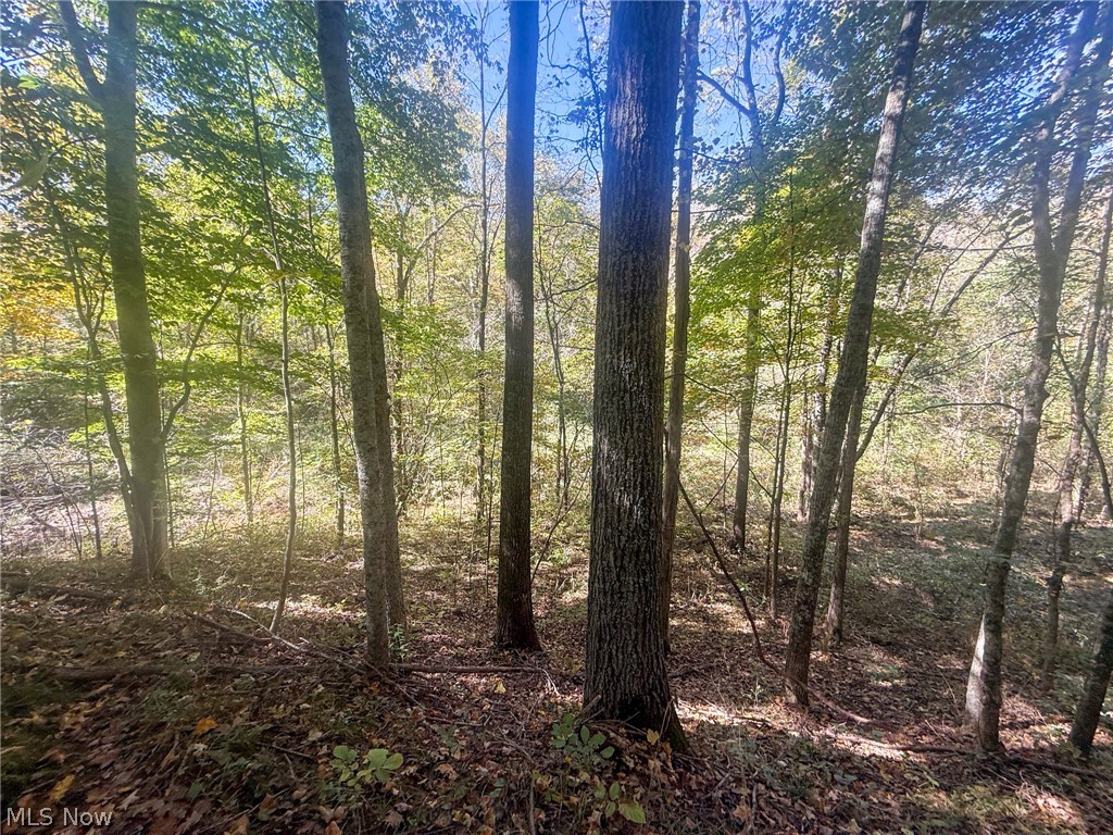 Buttermilk Hill Rd NW Mcconnelsville OH 43756