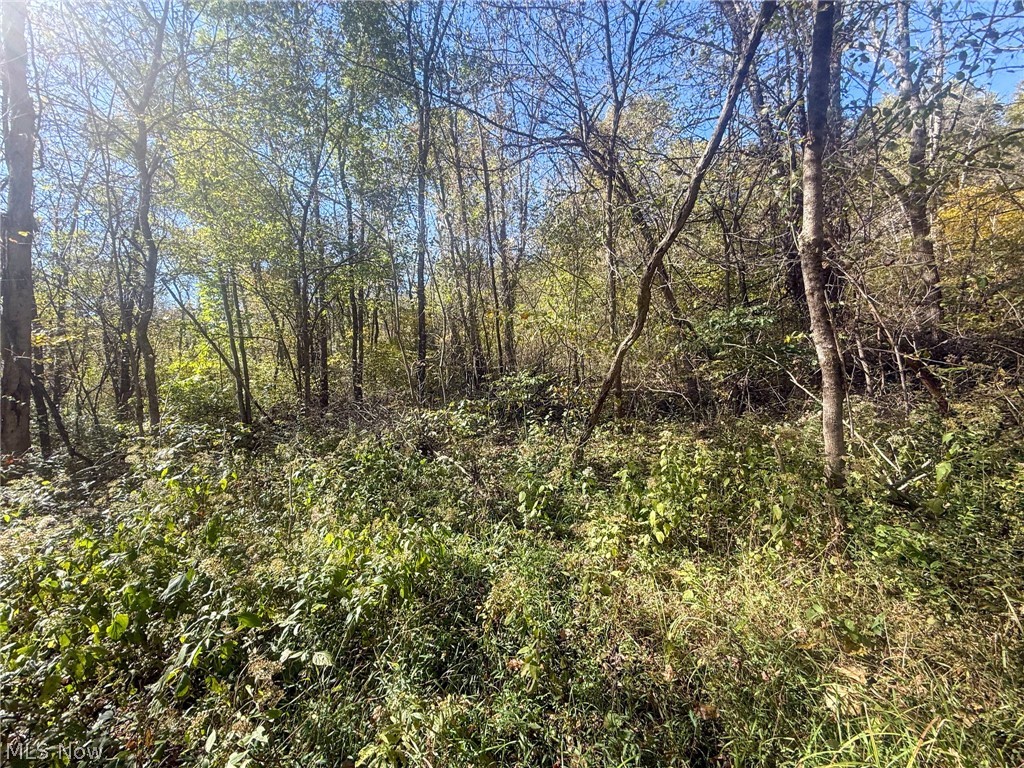Buttermilk Hill Rd NW Mcconnelsville OH 43756