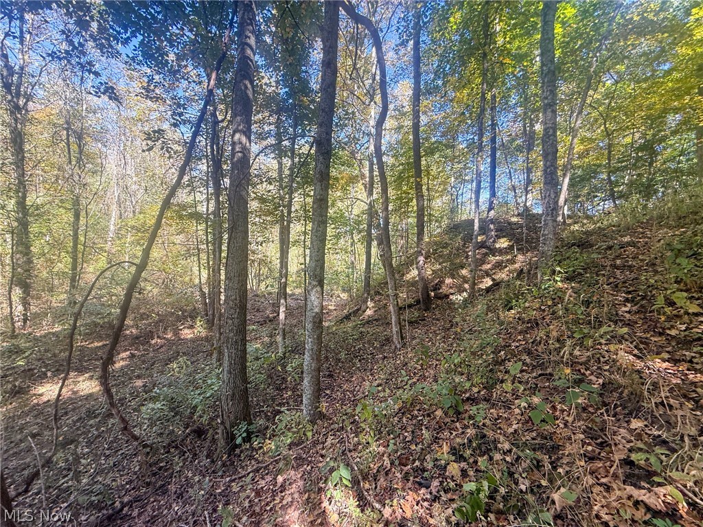 Buttermilk Hill Rd NW Mcconnelsville OH 43756