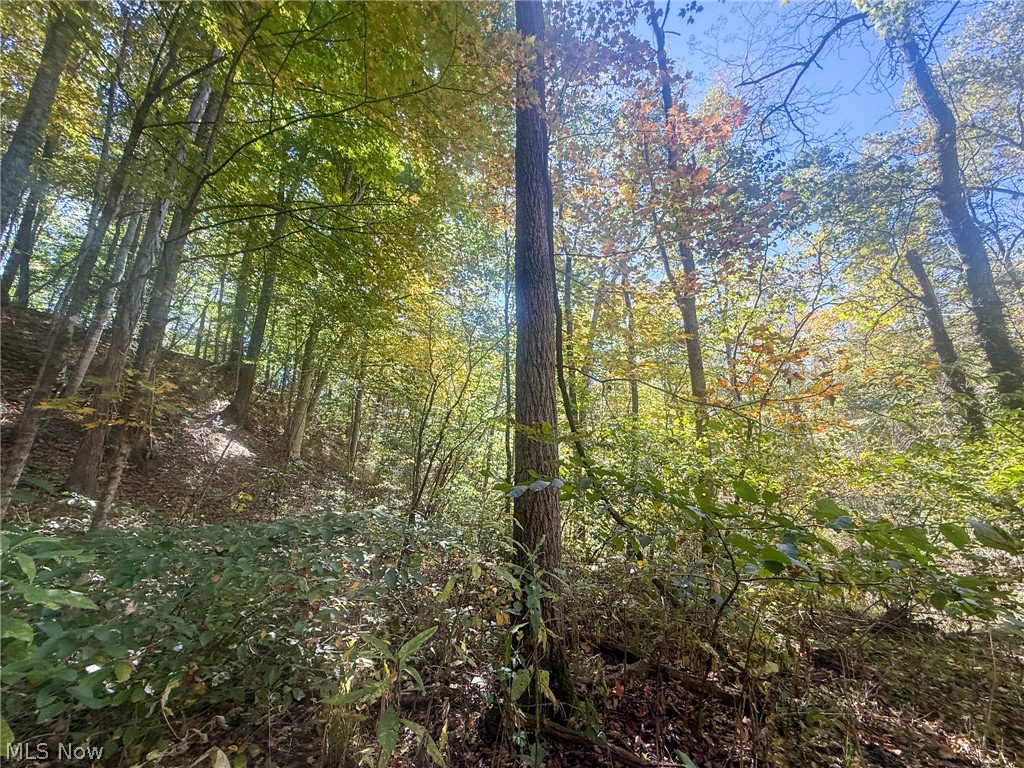 Buttermilk Hill Rd NW Mcconnelsville OH 43756