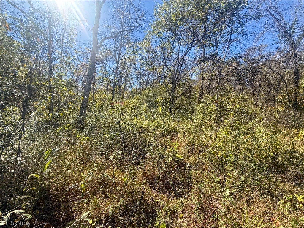 Buttermilk Hill Rd NW Mcconnelsville OH 43756