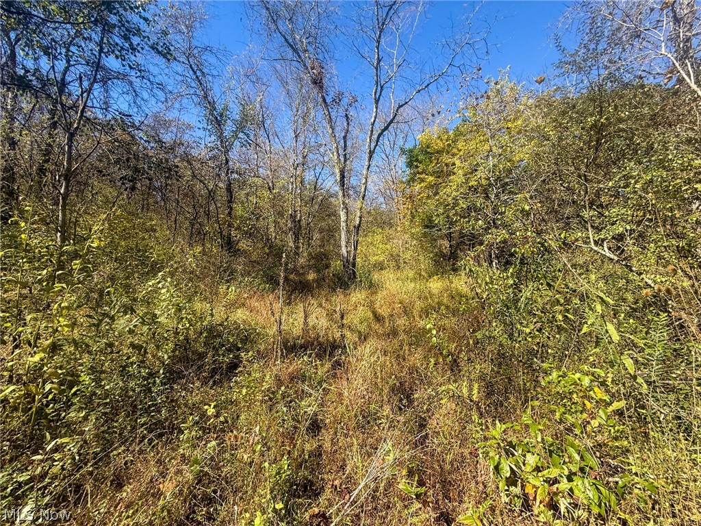 Buttermilk Hill Rd NW Mcconnelsville OH 43756