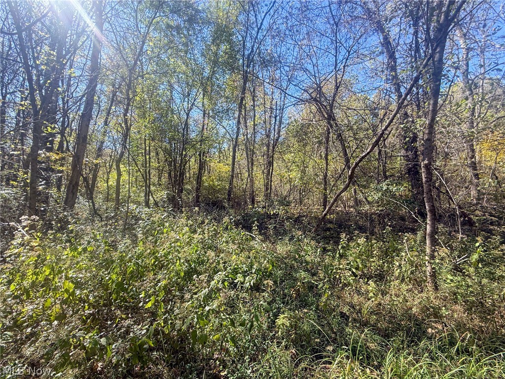 Buttermilk Hill Rd NW Mcconnelsville OH 43756