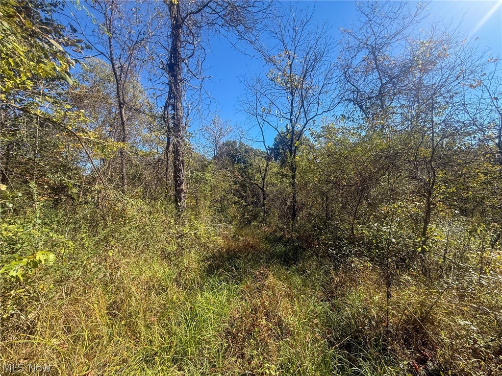 Buttermilk Hill Rd NW Mcconnelsville OH 43756