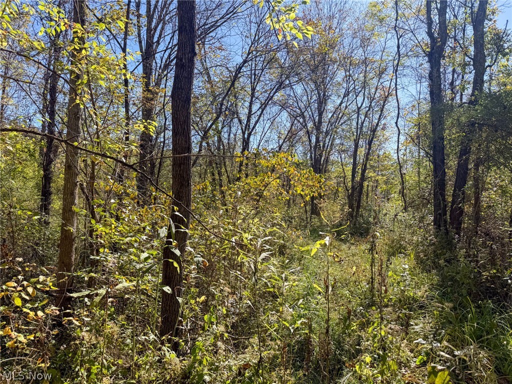 Buttermilk Hill Rd NW Mcconnelsville OH 43756