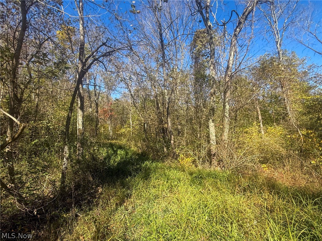 Buttermilk Hill Rd NW Mcconnelsville OH 43756