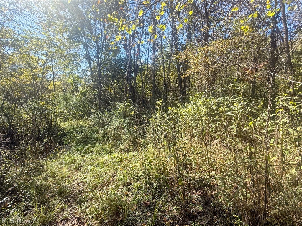 Buttermilk Hill Rd NW Mcconnelsville OH 43756