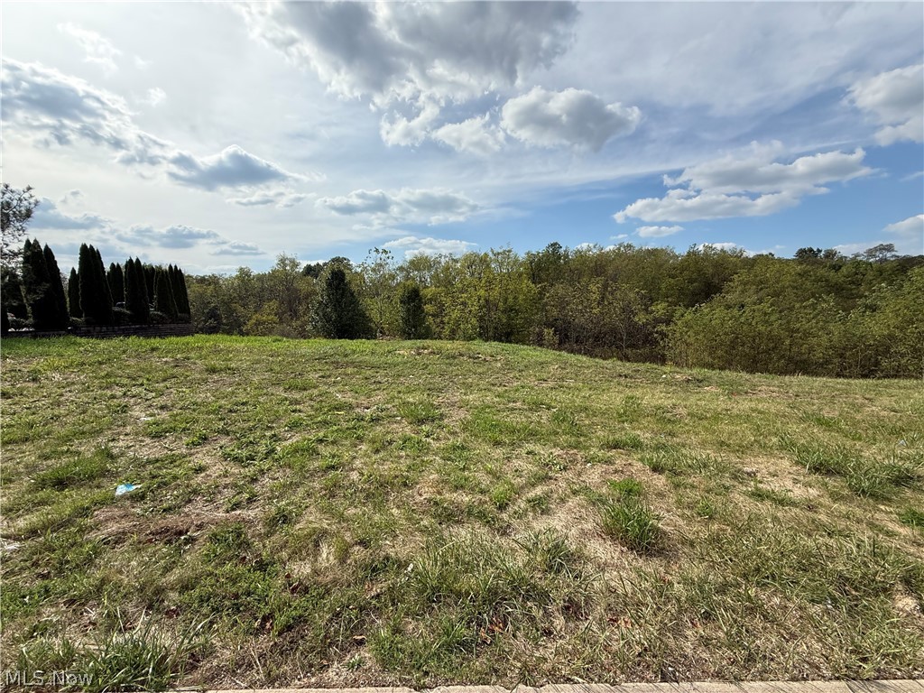 Cara Place Wintersville OH 43952